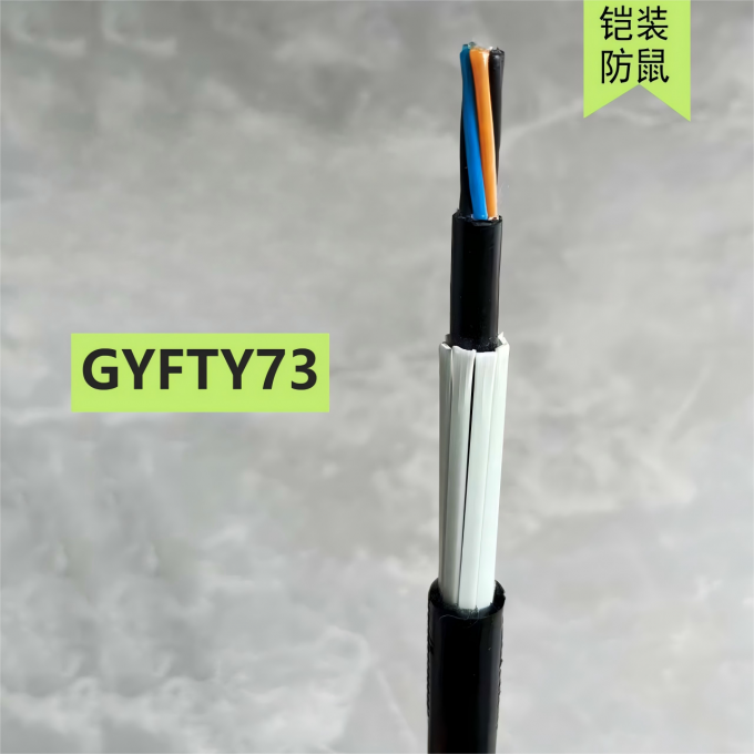 Flat FRP Armored Rodent-Resistant Fiber Optic Cable 4~144 Core Non-Metallic