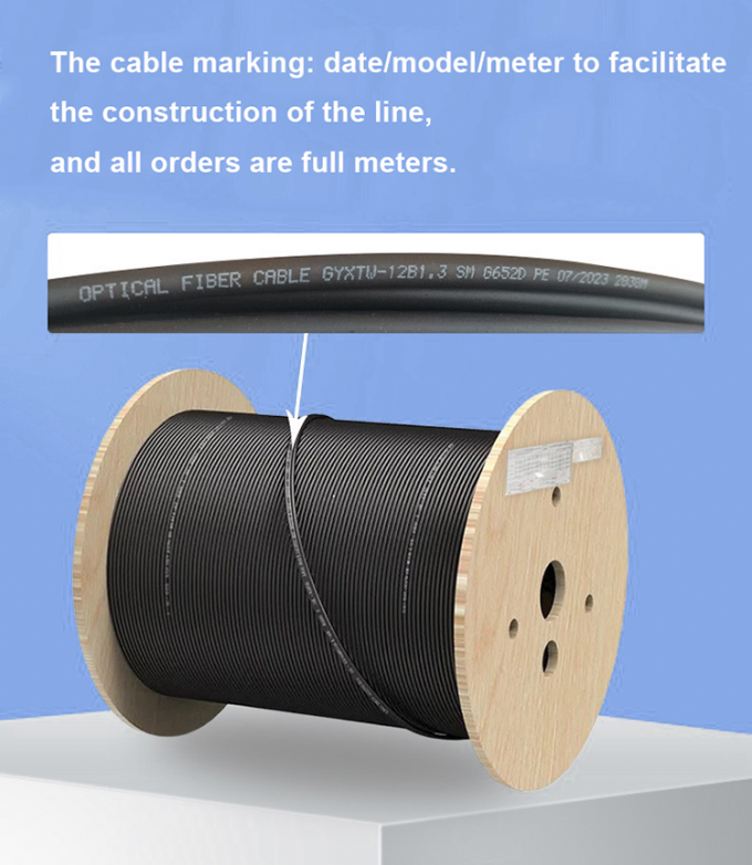 Outdoor GYXTW 12 Core G652D Light Armored Fiber Optic Cable With Central Loose Tube Structure